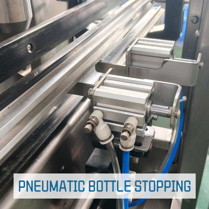 Fully Automatic Single-Head Rotor Pump Filling Machine